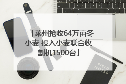 莱州抢收64万亩冬小麦 投入小麦联合收割机1500台