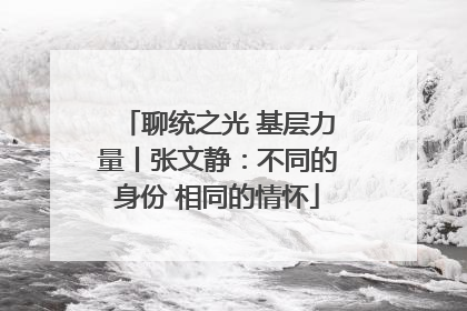 聊统之光 基层力量丨张文静：不同的身份 相同的情怀