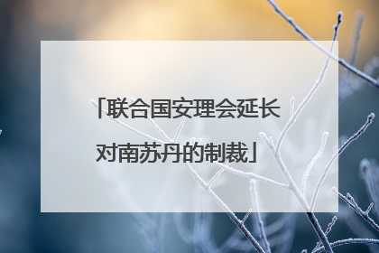 联合国安理会延长对南苏丹的制裁