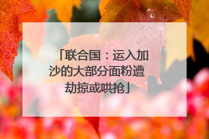 联合国：运入加沙的大部分面粉遭劫掠或哄抢