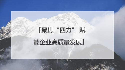 聚焦“四力” 赋能企业高质量发展
