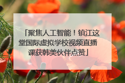 聚焦人工智能！镇江这堂国际虚拟学校视频直播课获韩美伙伴点赞
