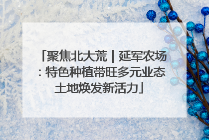 聚焦北大荒｜延军农场：特色种植带旺多元业态 土地焕发新活力