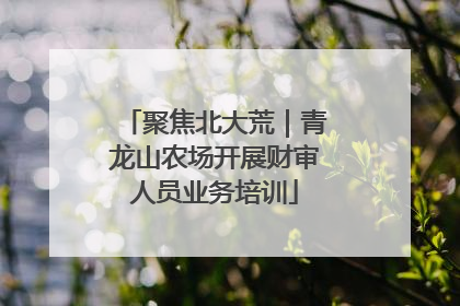 聚焦北大荒｜青龙山农场开展财审人员业务培训
