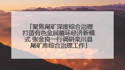 聚焦尾矿深度综合治理 打造有色金属循环经济新模式 张金良一行调研栾川县尾矿库综合治理工作