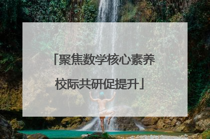 聚焦数学核心素养 校际共研促提升