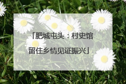 肥城屯头：村史馆留住乡情见证振兴