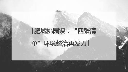 肥城桃园镇：“四张清单”环境整治再发力