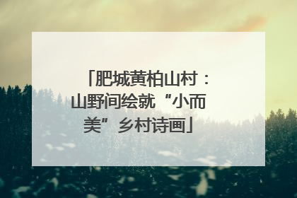 肥城黄柏山村：山野间绘就“小而美”乡村诗画