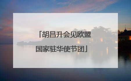胡昌升会见欧盟国家驻华使节团