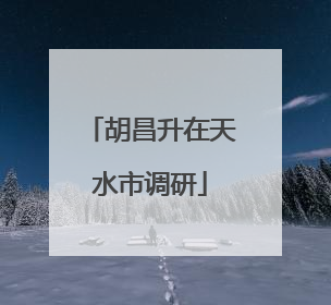 胡昌升在天水市调研
