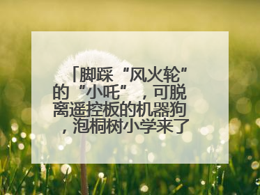 脚踩“风火轮”的“小吒”，可脱离遥控板的机器狗，泡桐树小学来了新朋友！