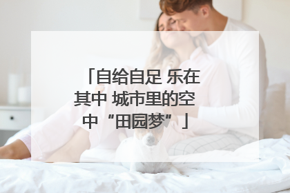 自给自足 乐在其中 城市里的空中“田园梦”