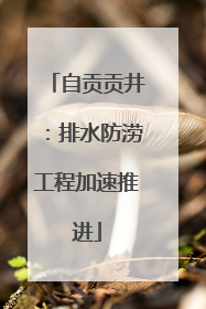 自贡贡井：排水防涝工程加速推进