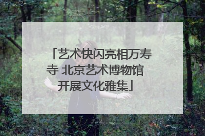 艺术快闪亮相万寿寺 北京艺术博物馆开展文化雅集