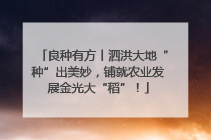 良种有方丨泗洪大地“种”出美妙，铺就农业发展金光大“稻”！