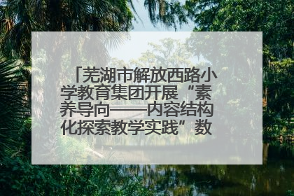 芜湖市解放西路小学教育集团开展“素养导向——内容结构化探索教学实践”数学专题研讨活动