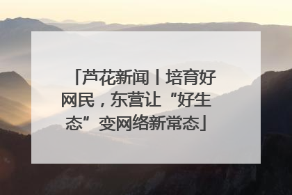 芦花新闻丨培育好网民，东营让“好生态”变网络新常态