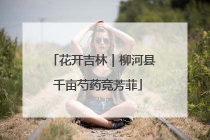 花开吉林｜柳河县千亩芍药竞芳菲