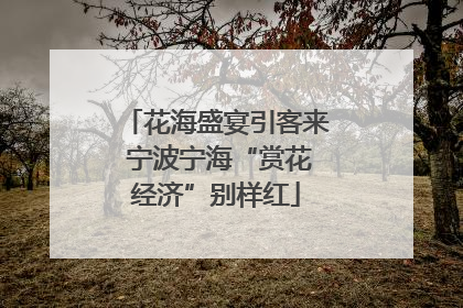 花海盛宴引客来 宁波宁海“赏花经济”别样红