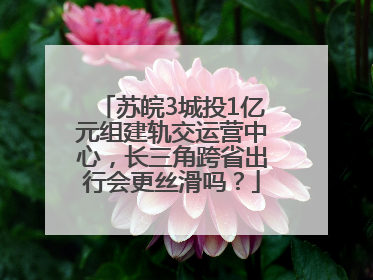 苏皖3城投1亿元组建轨交运营中心，长三角跨省出行会更丝滑吗？
