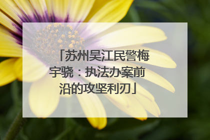 苏州吴江民警梅宇骁：执法办案前沿的攻坚利刃