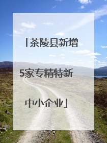 茶陵县新增5家专精特新中小企业