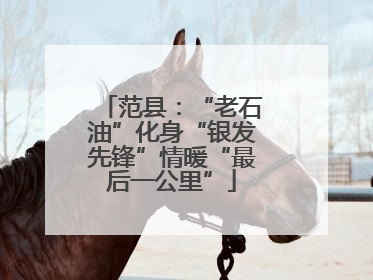 范县：“老石油”化身“银发先锋”情暖“最后一公里”