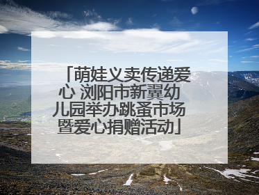 萌娃义卖传递爱心 浏阳市新翼幼儿园举办跳蚤市场暨爱心捐赠活动