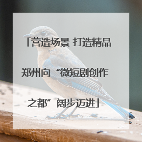 营造场景 打造精品 郑州向“微短剧创作之都”阔步迈进