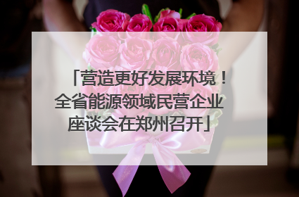 营造更好发展环境！全省能源领域民营企业座谈会在郑州召开