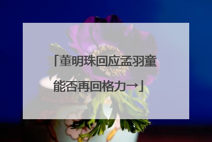 董明珠回应孟羽童能否再回格力→
