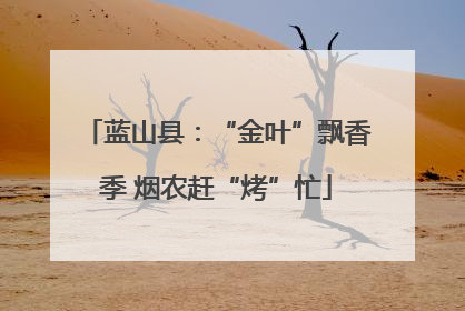 蓝山县：“金叶”飘香季 烟农赶“烤”忙