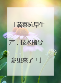 蔬菜抗旱生产，技术指导意见来了！