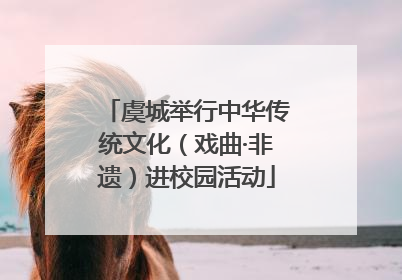 虞城举行中华传统文化（戏曲·非遗）进校园活动