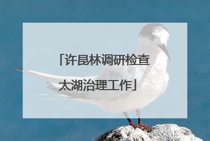 许昆林调研检查太湖治理工作