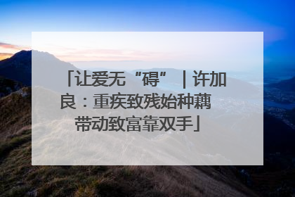 让爱无“碍”｜许加良：重疾致残始种藕 带动致富靠双手