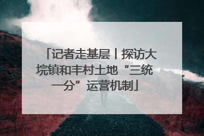 记者走基层丨探访大垸镇和丰村土地“三统一分”运营机制