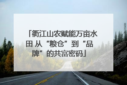 衢江山农赋能万亩水田 从“粮仓”到“品牌”的共富密码