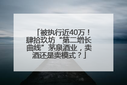 被执行近40万！肆拾玖坊“第二增长曲线”茅泉酒业，卖酒还是卖模式？