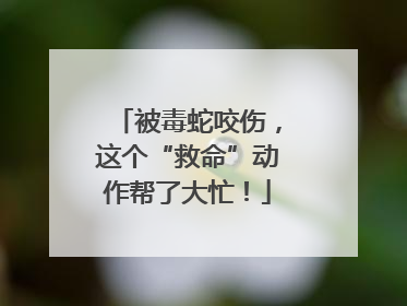 被毒蛇咬伤，这个“救命”动作帮了大忙！