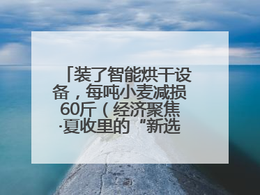 装了智能烘干设备，每吨小麦减损60斤（经济聚焦·夏收里的“新选手”）