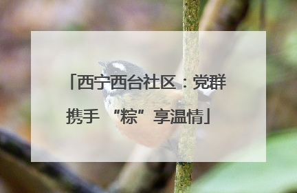 西宁西台社区：党群携手 “粽”享温情
