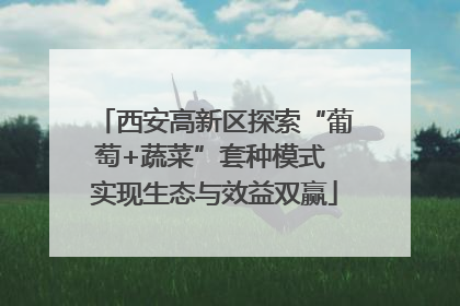 西安高新区探索“葡萄+蔬菜”套种模式 实现生态与效益双赢