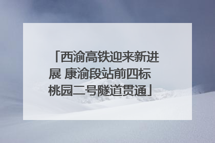 西渝高铁迎来新进展 康渝段站前四标桃园二号隧道贯通