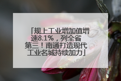 规上工业增加值增速8.1%，列全省第三！南通打造现代工业名城持续加力