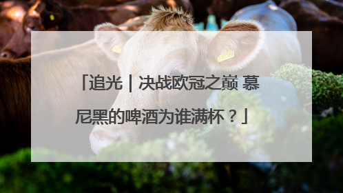 追光｜决战欧冠之巅 慕尼黑的啤酒为谁满杯？