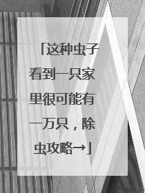 这种虫子看到一只家里很可能有一万只，除虫攻略→