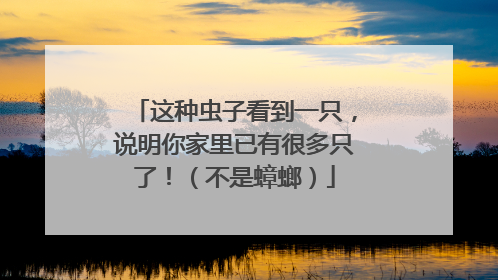 这种虫子看到一只，说明你家里已有很多只了！（不是蟑螂）