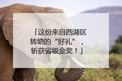 这份来自西湖区转塘的“好礼”，斩获省级金奖！